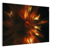 Load image into Gallery viewer, Fractal Art Wall Decor Canvas Poster -30