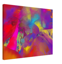 Load image into Gallery viewer, Abstract Art Wall Decor Canvas artwork -27