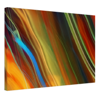 Load image into Gallery viewer, Abstract Art Wall Decor Canvas artwork -32