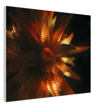 Load image into Gallery viewer, Fractal Art Wall Decor Canvas Poster -30