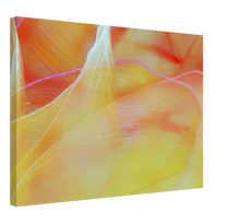 Load image into Gallery viewer, Abstract Art Wall Decor Canvas artwork -19
